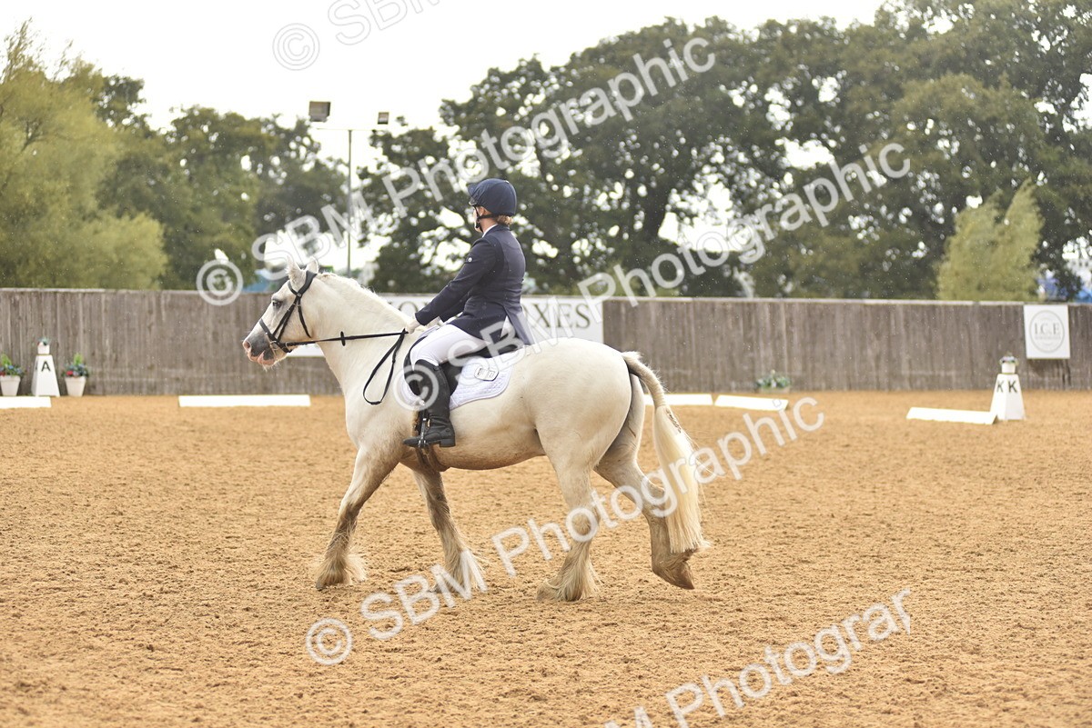 SBM_42414 - D22 - Junior Championship Intro 3