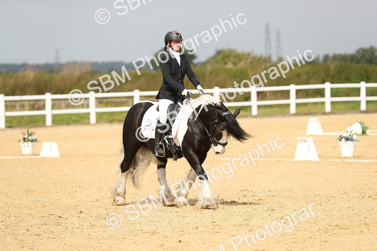 SBM_016458 - Class 13 - Novice 23 - 11.25-12.35