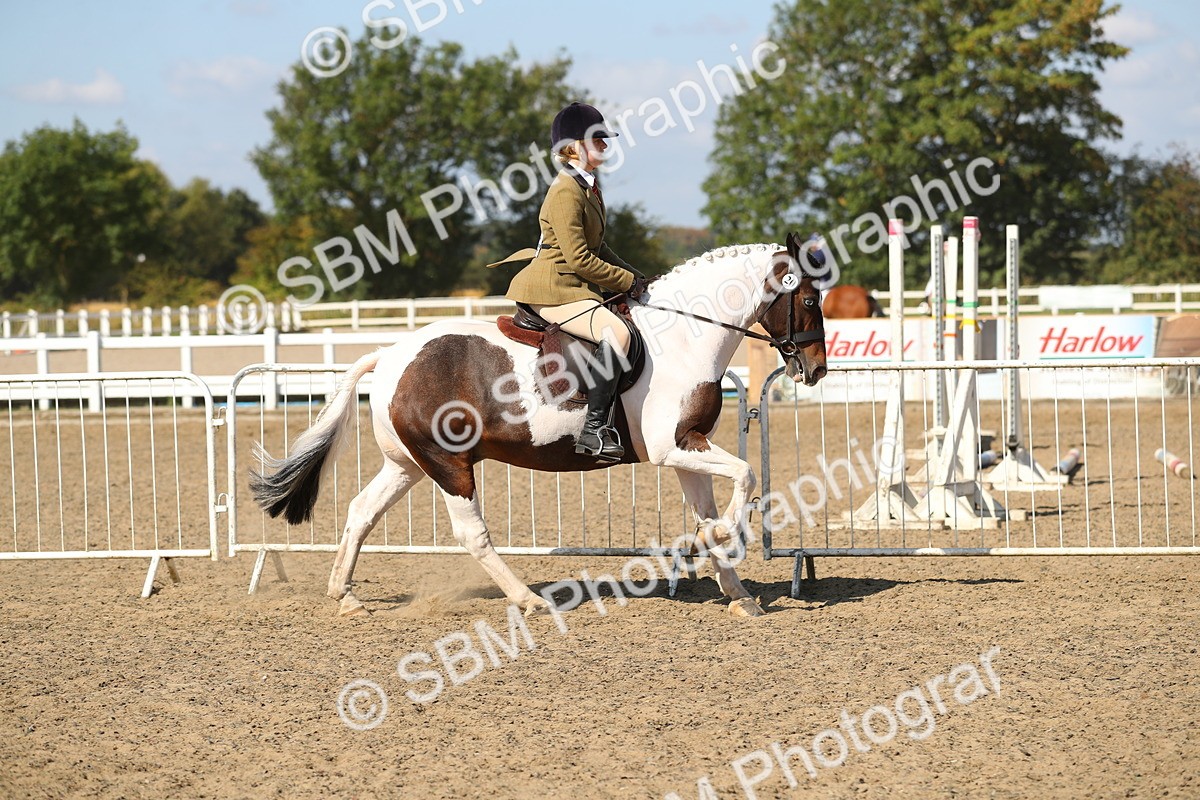SBM_03151 - Class 44 Riding Club Horse/ Pony