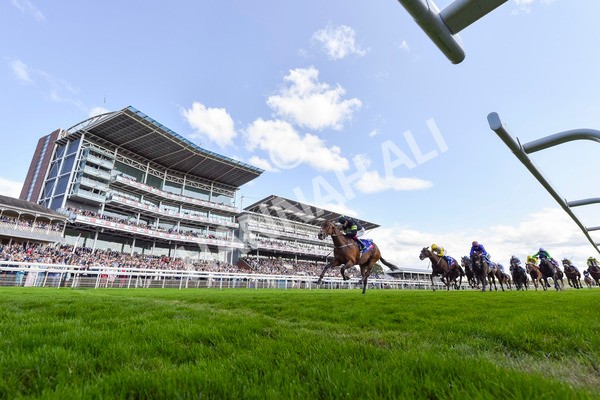 240824-Race 4-Magical Zoe-4576 - Race 4 3.35pm Sky Bet Ebor Handicap