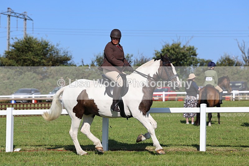 IMG_1483 - Class 30: Ridden Native/Trad Coloured Pony
