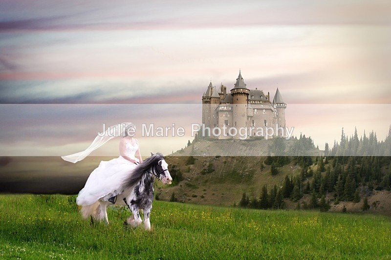 castle_on_a_hill_1veil - Equine Photography