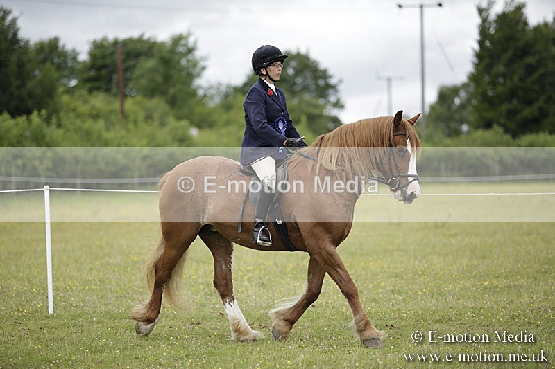 BVR160717-2103 - Ridden Championship 16/07/17