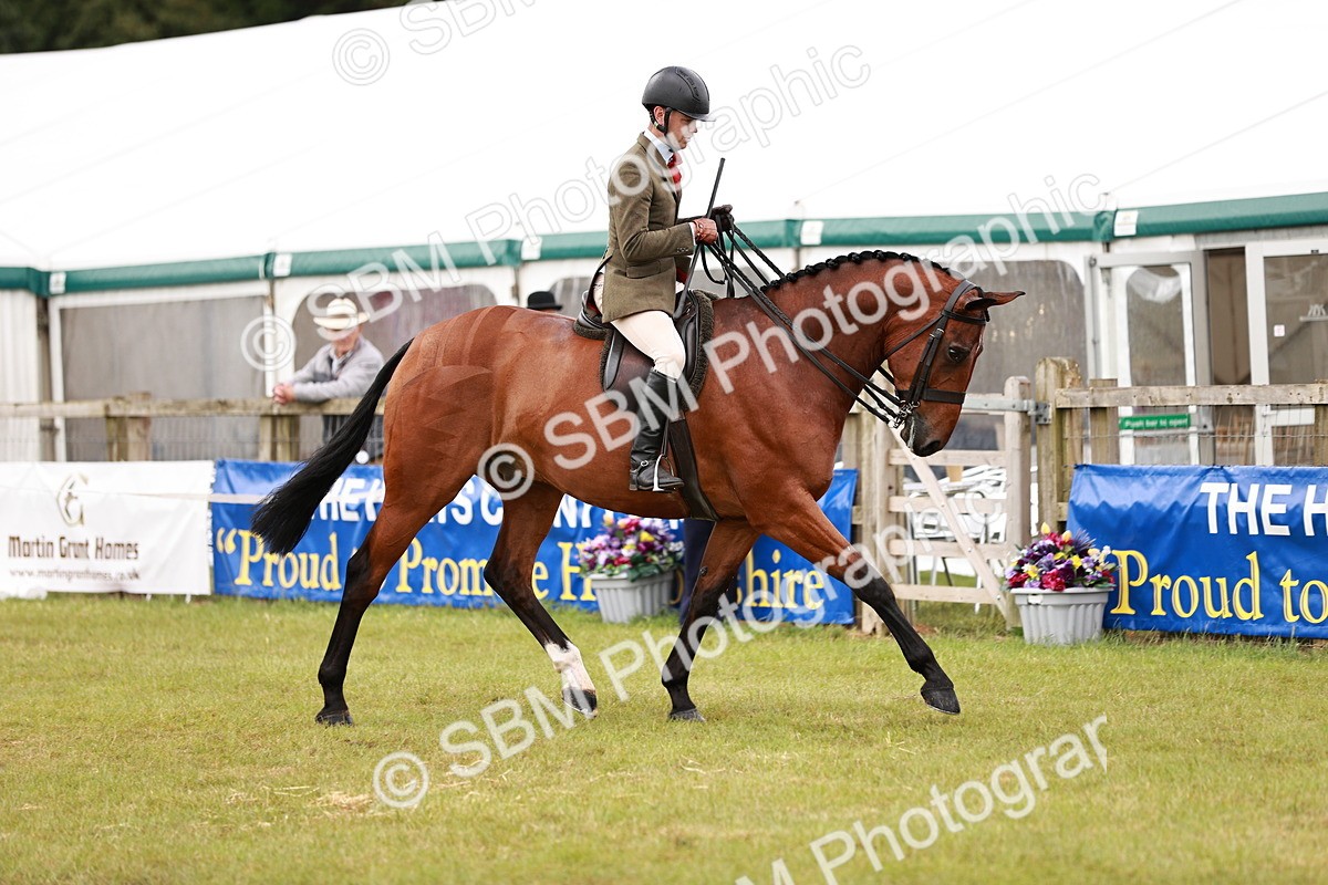 SBM_11542 - Class 81-84 - RIHS Ridden hunters Inc Ladies Hunter