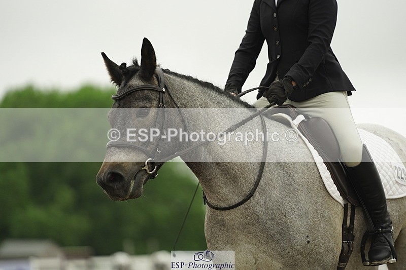 230708A-101028-00338 - Intro C