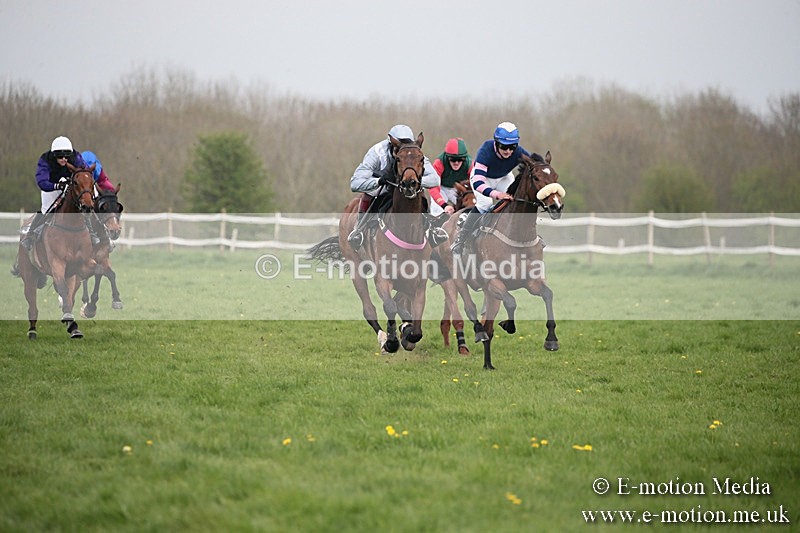 PtP 210418 357 - South & West Wilts Point-to-Point Larkhill 21/04/18