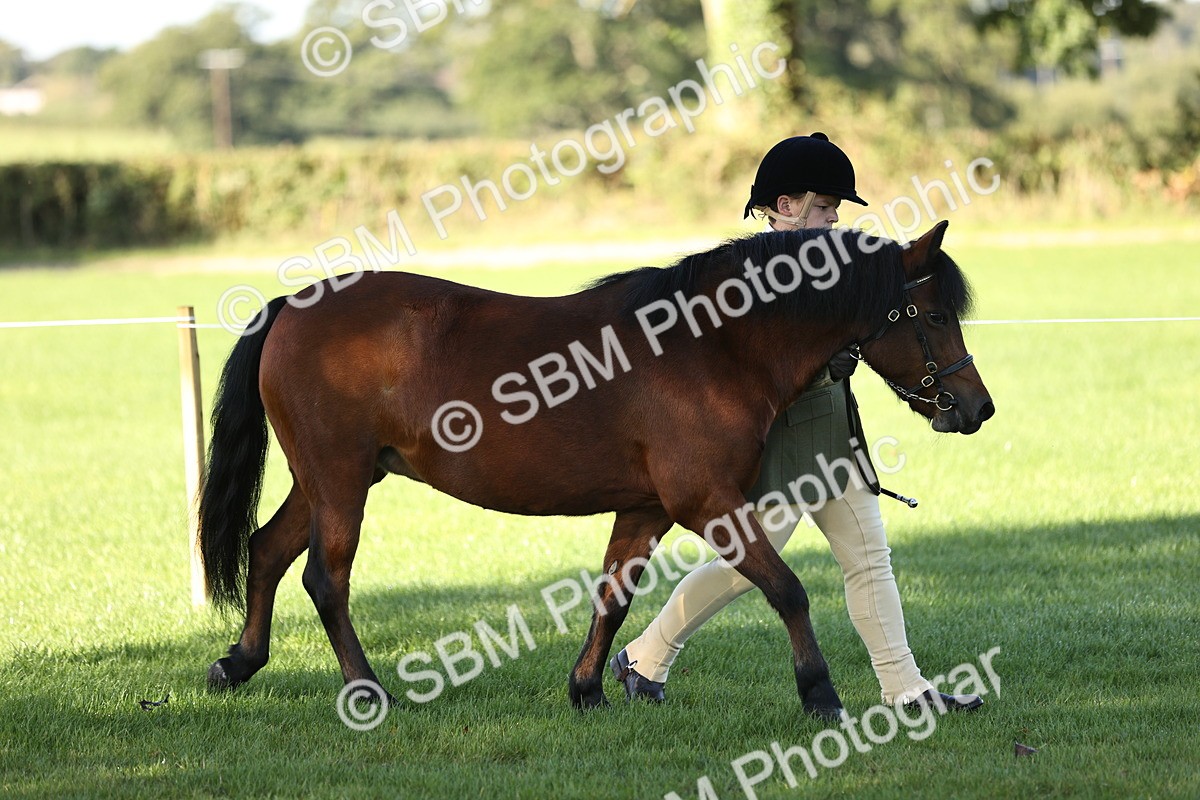 SBM_15846 - S1 - TSR in Hand Horse & Pony Showing