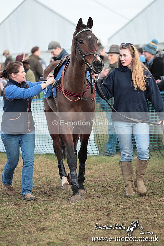 PtP 010325 536 - Beaufort Races Didmarton 01/03/25