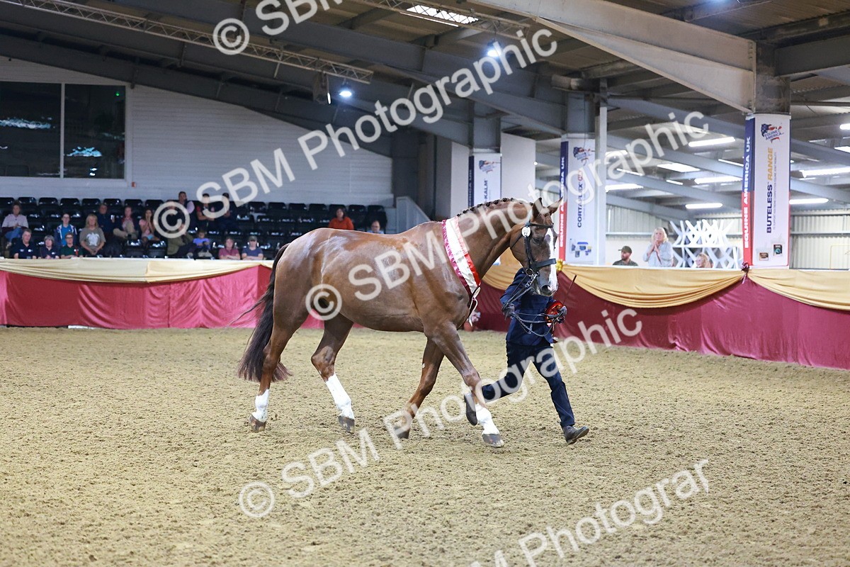 SBM_15016 - Class H - IH  Competition Riding Club Champ