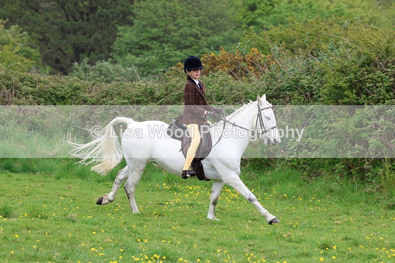 3E7A1760 - Class 9: Riding Club Horse/Pony