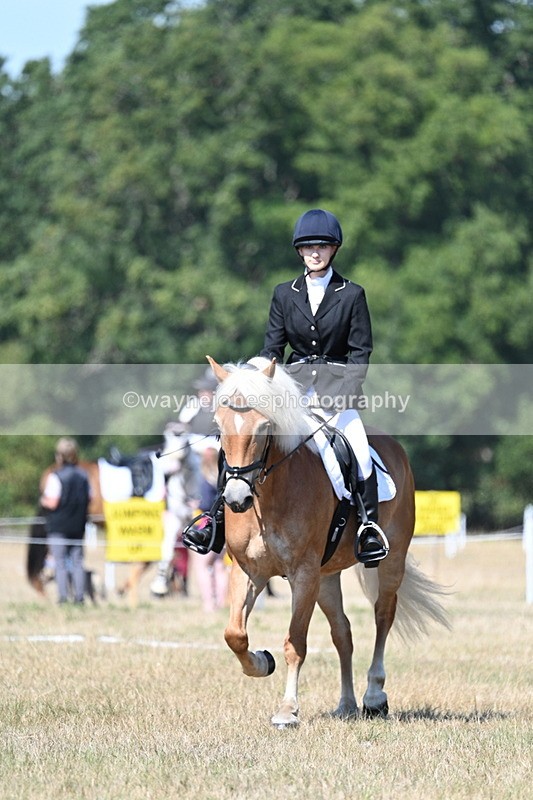 WJ7_0331 - Time 11:33 to 11:44