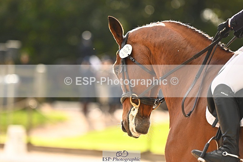 231021-152756-21134 - 362-GLOBAL.AMARETTO-Charlotte.Agnew-DR