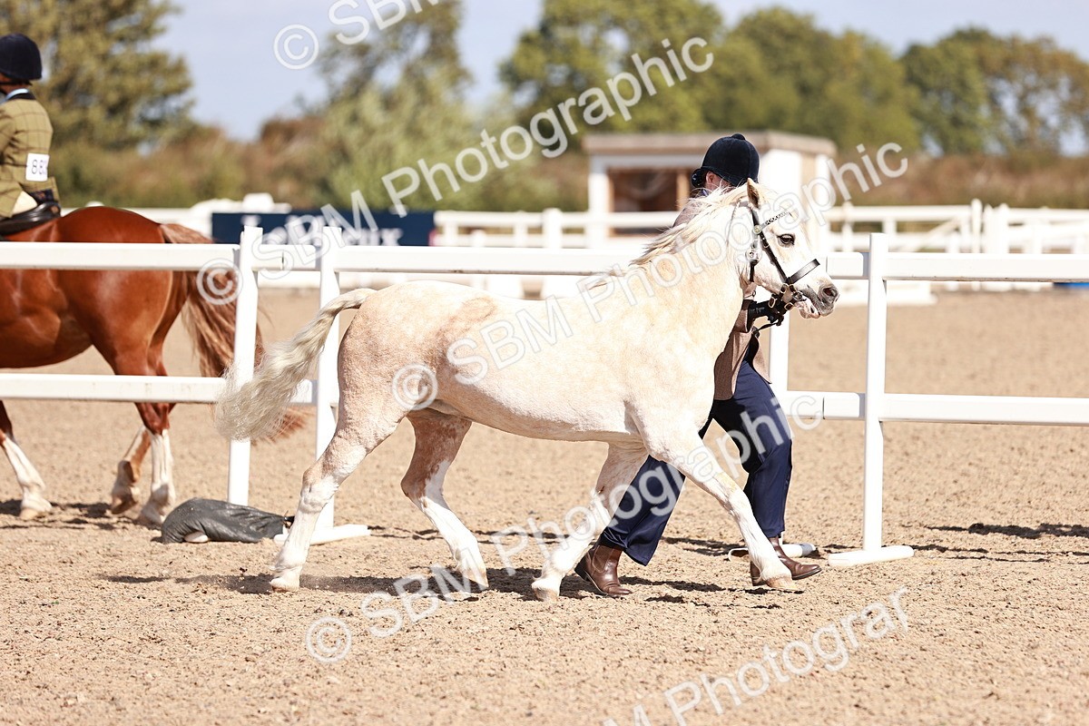 SBM_22950 - Class 707 - IH groom Helpers Class