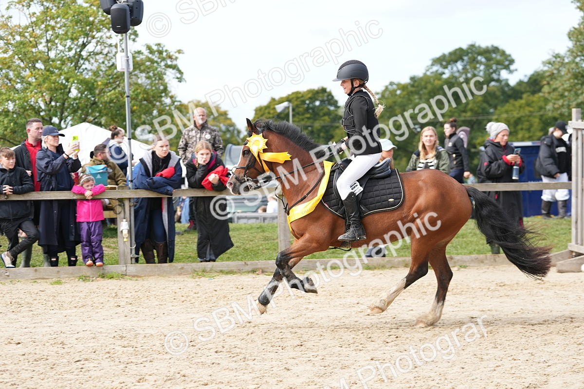 SBM_40101 - J6 - Junior Pony 55cm Championship