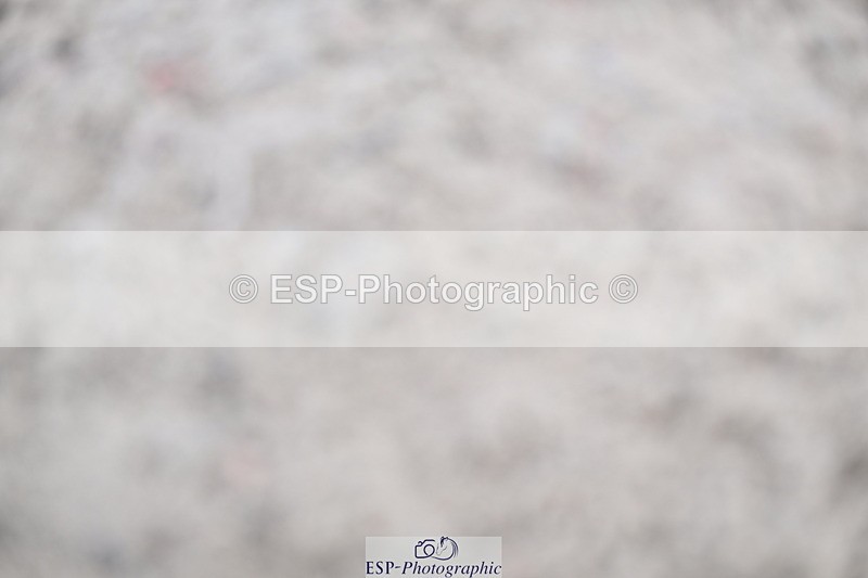 240806A-152220-00025 - Clear Round & 60cm BS Club & Schools