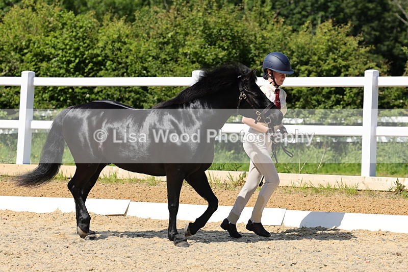 1X9A1111 - Class 9: Open Part Bred