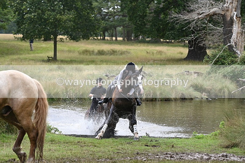 WJ7_5393 - Time at Water 14:00 to 14:53