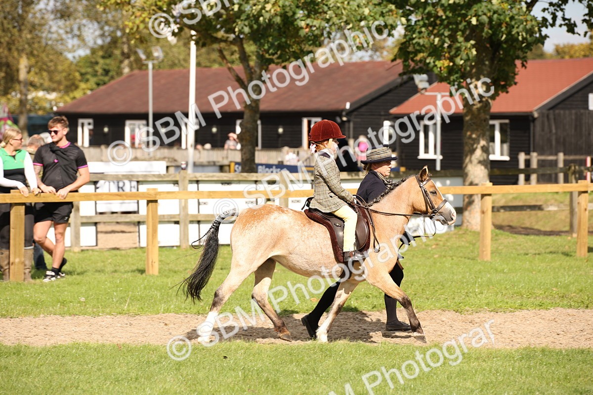 SBM_49989 - S26 - Young Veteran - Ridden