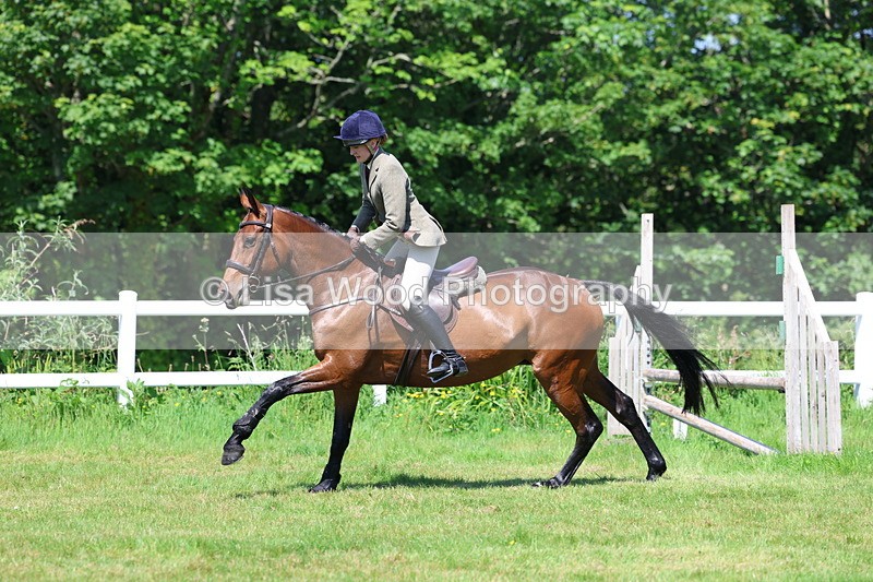 3E7A6984 - Class 30: Novice Working Hunter