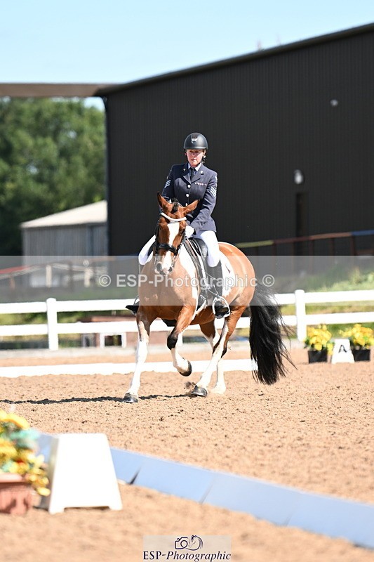 240816A-111055-04015 - 189-Mel.Day-Dolderwydd.lucky.Maisie