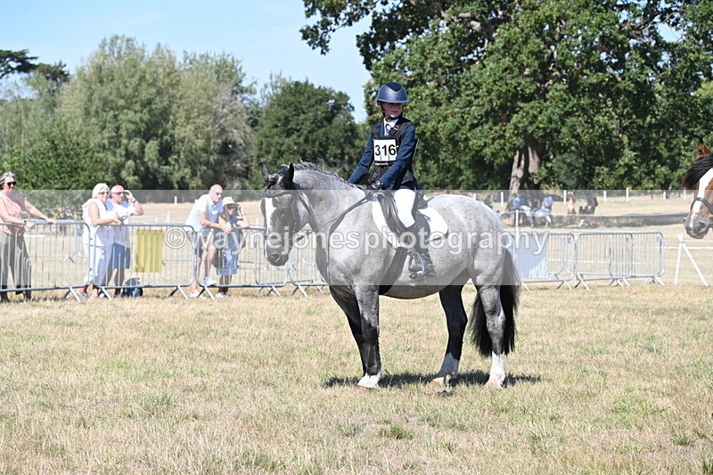 WJ6_8459 - Class 37a Best Loan Pony Ridden