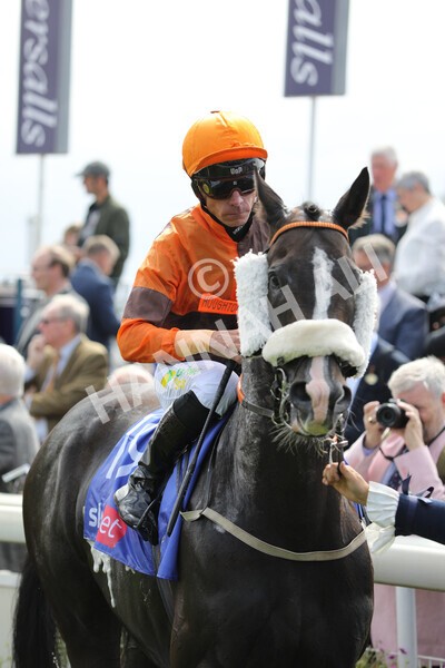 yr17082022r1-031 - Race 1 1.50pm Sky Bet & Symphony Group Stakes