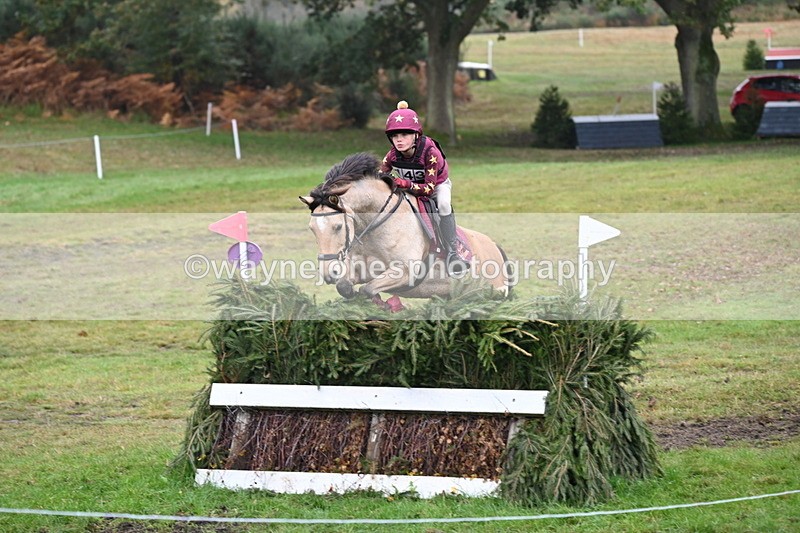 WJ6_2476 - 80cm Cam 1 Time 11:23 to 12:04