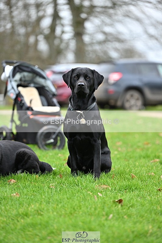 250201A-105843-00311 - Cls 02 Local Horse 100cm