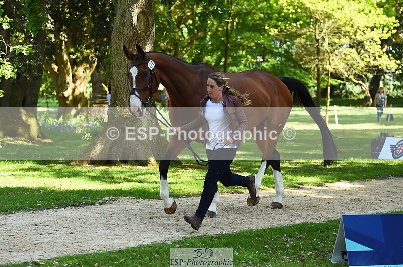 230524-154010-00426 - 372-INDYGO_BLUE-Jess_Butler-WEDTrotUp+DR