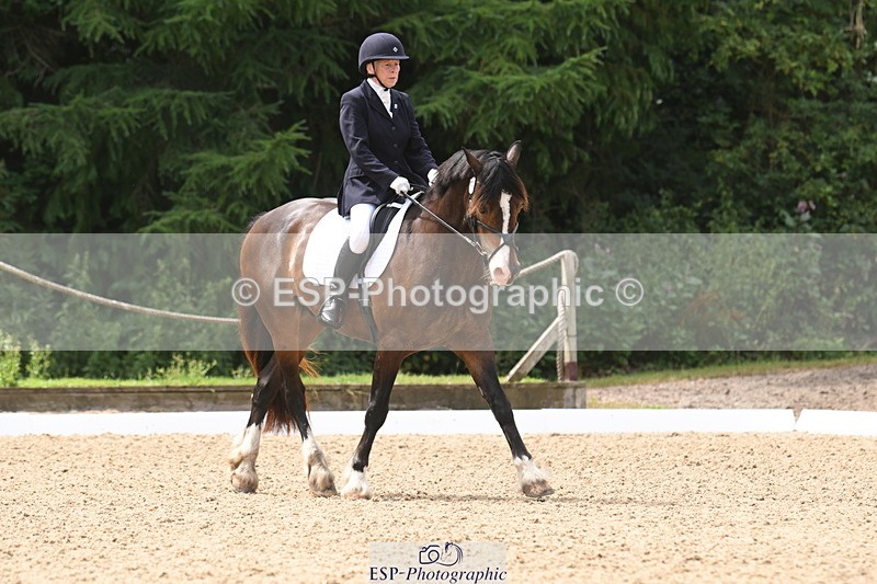 250720A-115815-10094 - 079-Amanda.Williams-Llanarth.Westminster