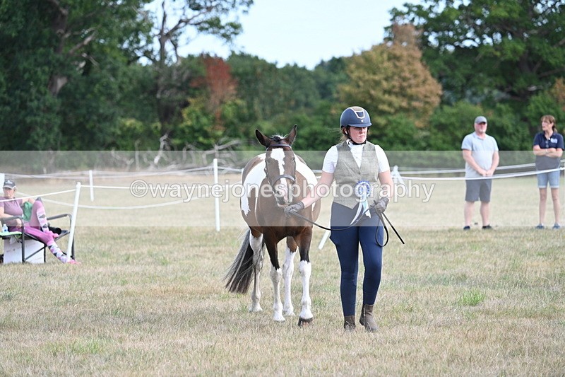 WJ7_8299 - In-hand Championship