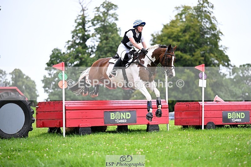 240803-115212-03031 - 026-Amber_Williams-COSMIC_MIKADO