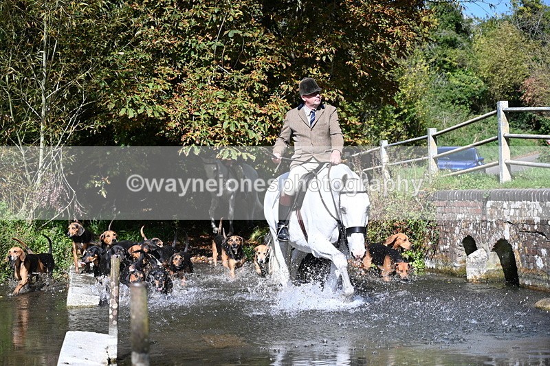 WJ7_5942 - Hounds Water Crossing