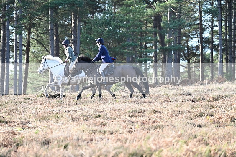 WJ7_7069 - Line 3 (no line 4 or 5)