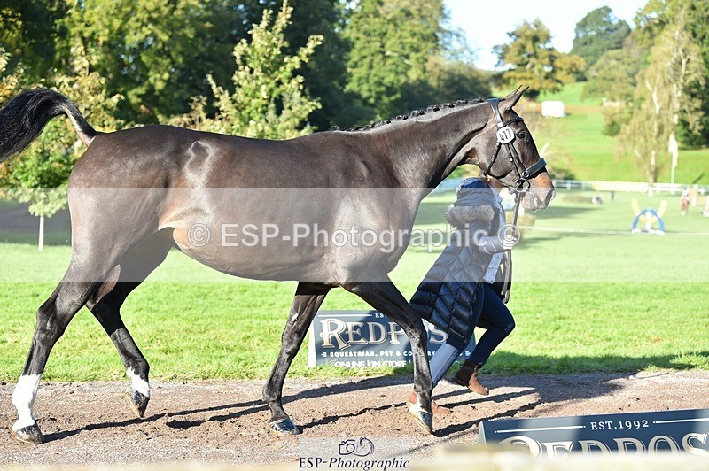 231022-103058-22537 - 477-NPS.KLASSEY-Elizabeth.Jones-TrotUp+SJ