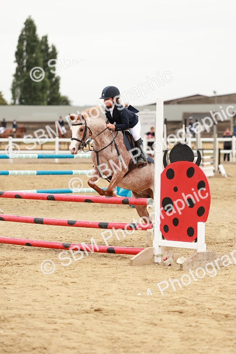 SBM_008416 - Class 5 - 80cm