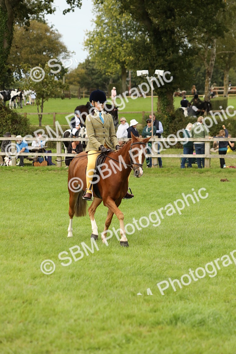 SBM_71642 - S41 - Ridden Equitation (Best Rider)