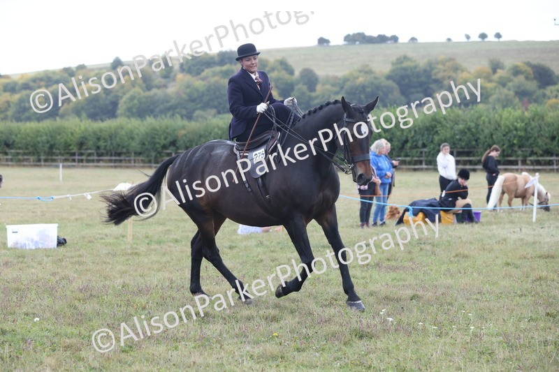 20250831-1196 - Class 15 - Ridden Veteran