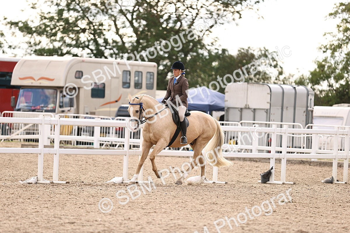 SBM_18199 - Class 423 - Equitation (best rider) Adult