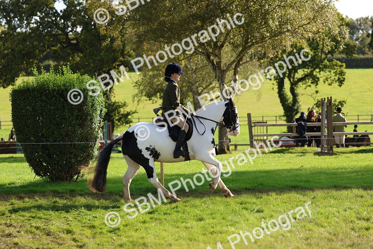 SBM_52405 - S13 - Pony Club Pony