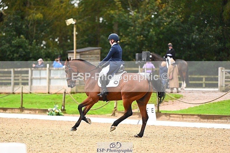 231021-121154-15087 - 346-MY.EASTWOOD.BRIGHTSIDE-Darcy.Zander-DR