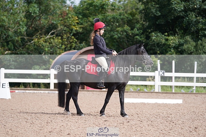 240809A-102646-00550 - Dressage Competition