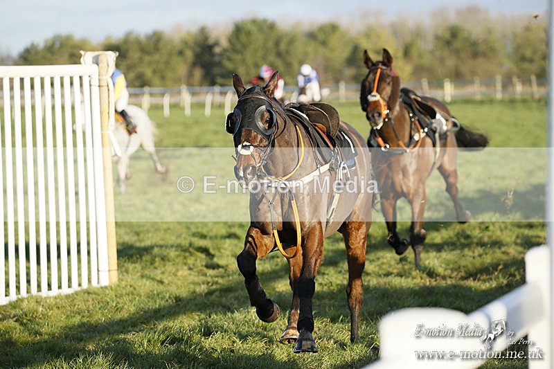 PtP 121220 585 - Avon Vale Races Larkhill 12/12/20