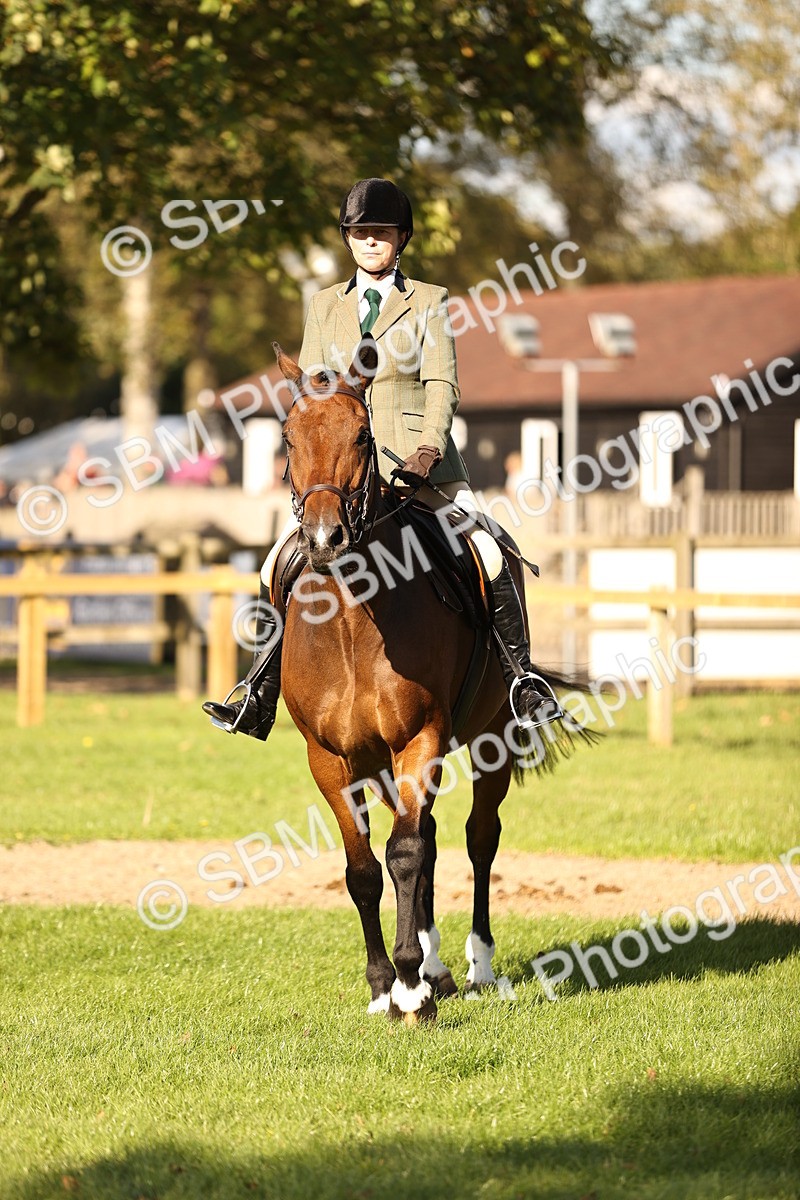 SBM_26460 - S6 - Novice & Newcomers Ridden Horse