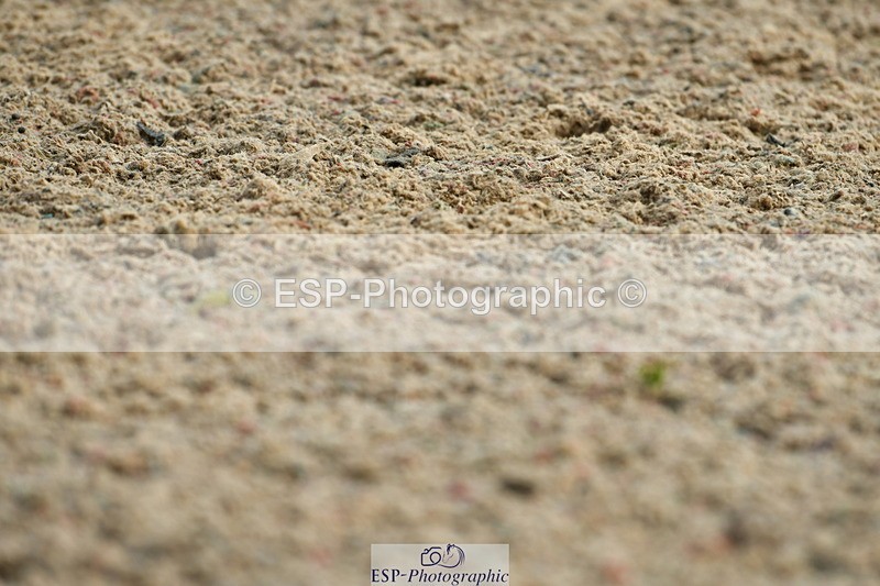 230708A-092746-02105 - Prelim 13