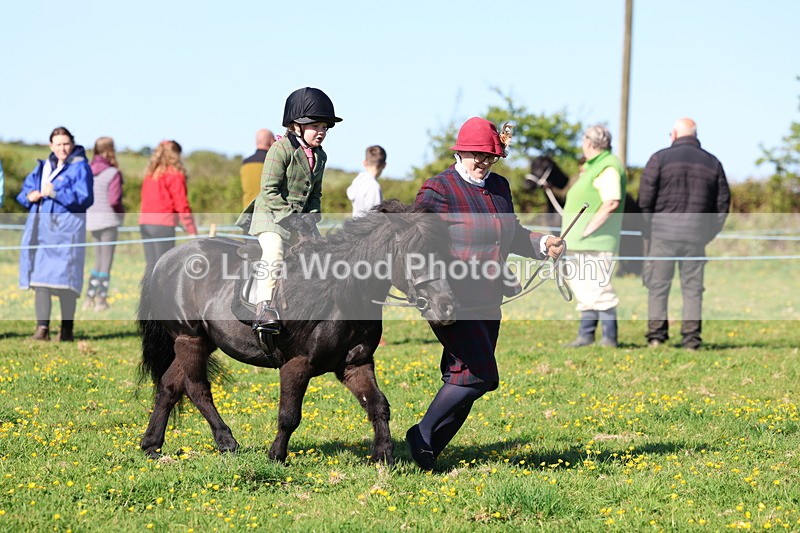 3E7A8774 - Class 2: Lead rein