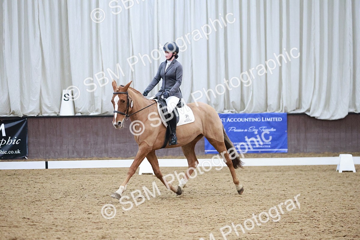 SBM_004657 - Ring 3 - International -  Working Hunter Classes 23-2-25