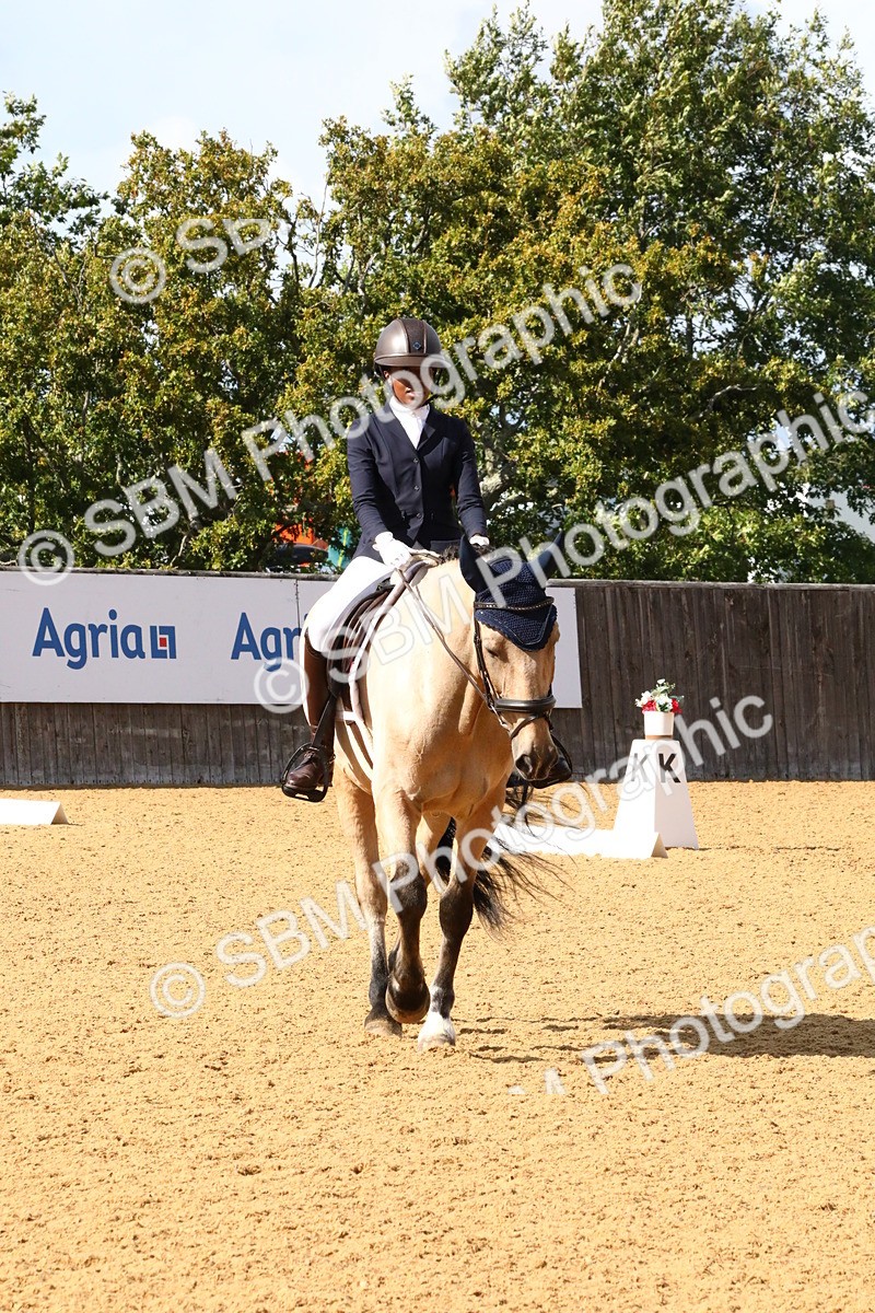 SBM_23563 - D5 - Small Tour Championshop Intro 2