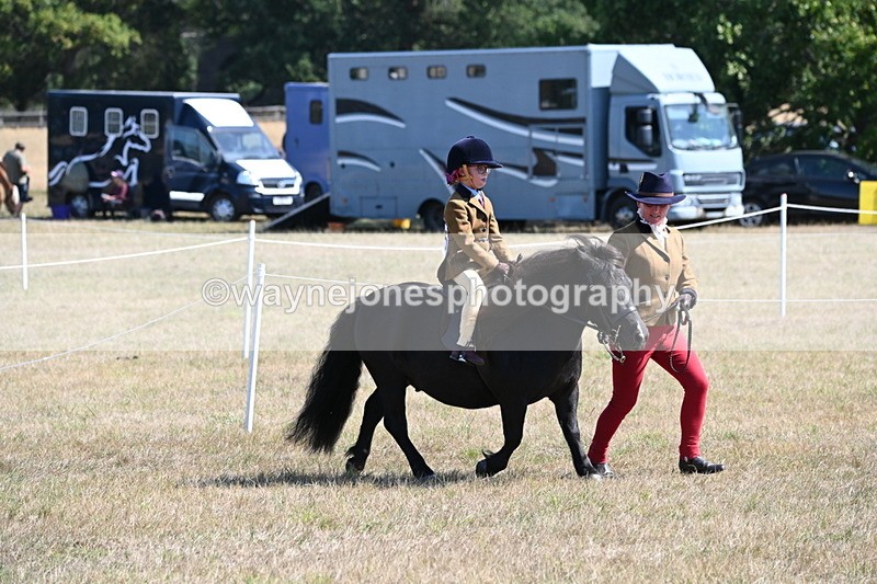 WJ6_7715 - Class 36 Lead Rein