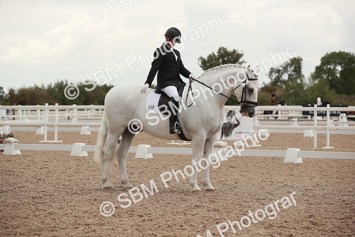 SBM_06159 - Class 33 - Elementary 1